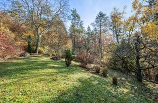 Einfamilienhaus kaufen in 71120 Grafenau, Großes Einfamilienhaus mit ELW auf Traumgrundstück in bester Lage