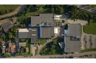 Gewerbeimmobilie kaufen in 75438 Knittlingen, Auf Anfrage freies Werk mit Reinräumen