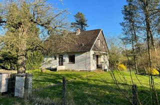 Anlageobjekt in 23843 Travenbrück, Raum für Ideen – Sanierungsbedürftiges Haus mit Einliegerwohnung und ca. 4000 m² Freiheit