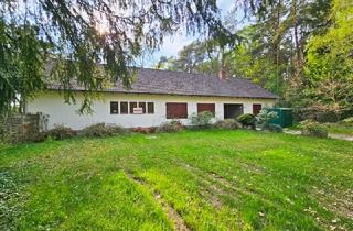 Anlageobjekt in 27211 Bassum, Großzügiger Bungalow im Außenbereich