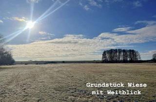 Grundstück zu kaufen in 16306 Casekow, Ein märchenhaft wildes Grundstück, mit großer Wiese und mit viel Platz zum Selbstgestalten