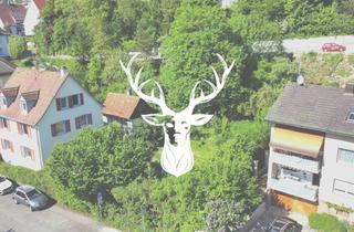 Grundstück zu kaufen in 79761 Waldshut-Tiengen, Einzigartiges Baugrundstück in TOP Lage von Waldshut zu verkaufen