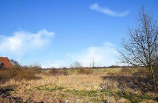 Grundstück zu kaufen in 30855 Langenhagen, Langenhagen - Hainhaus: Großes,freies Grundstück mit 2.468m² in attraktiver Feldrandlage!