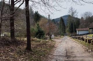 Grundstück zu kaufen in Schliertal, 67468 Frankenstein, Erholung pur im Pfälzerwald – Idyllisches Freizeitgrundstück in Frankenstein!