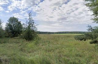 Anlageobjekt in 14797 Kloster Lehnin, Über 22.000 m² Gewerbefläche im etablierten Gewerbepark Rietzer Berg – Investmentchance in Top-Lage