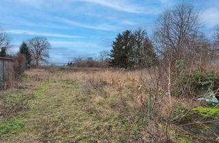 Anlageobjekt in 16356 Ahrensfelde, Grundstück für Projektentwickler – 3.000 m² mit Altbestand zur Neugestaltung