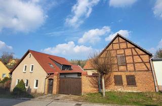 Haus kaufen in 99428 Hopfgarten, Bäuerliches Anwesen mit Scheune, Nebengebäuden, großem Garten und viel Potenzial in Hopfgarten