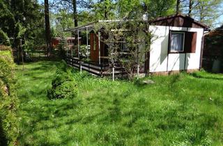 Haus kaufen in Am Säuberg, 02906 Waldhufen, Ihr Ferienbungalow im Wald, ruhig, grün am Stausee Quitzdorf