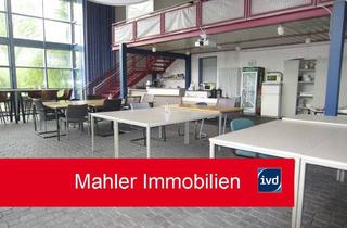 Büro zu mieten in 64673 Zwingenberg, Büro- & Lager Gewerbe mit ca. 13.500 m² Innenhof zentral in Zwingenberg !