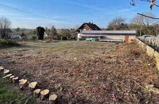 Grundstück zu kaufen in 74850 Schefflenz, Fast ebenes Grundstück Gewerbliche oder Wohnnutzung