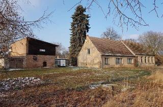Bauernhaus kaufen in 17379 Ferdinandshof, Ferdinandshof - Historisches Landhaus mit 8000m² Grundstück, Scheune und Bauland