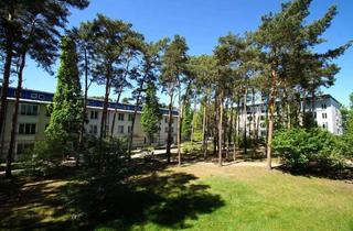 Wohnung mieten in Falkenhorst, 06917 Jessen, Jessen (Elster) - ++ NEU: 2-RW mit EBK, Balkon und Keller++