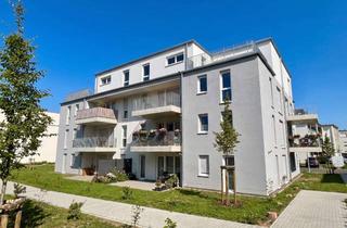 Penthouse kaufen in 67663 Innenstadt, Infotag zu Neubauprojekten, Freitag, 11.09., von 14 bis 17 Uhr, im Büro Wenk, Am Altenhof 6, KL