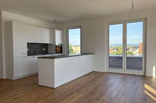 Penthouse mieten in 68782 Brühl, Großzügiges 3-Zimmer-Penthouse mit Dachterrasse und Einbauküche