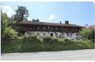 Wohnung mieten in 94065 Waldkirchen, Vor einem Jahr renovierte Erdgeschosswohnung mitten in Waldkirchen