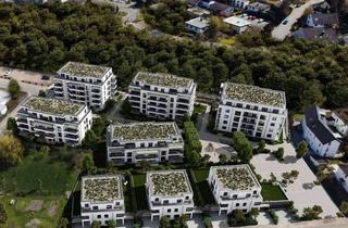 Wohnung mieten in Ludwig-Eckes-Allee, 55268 Nieder-Olm, Betreutes Wohnen! Lichtdurchflutete 2-Zi-Whg mit großer Sonnenterrasse