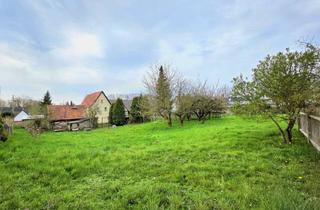 Haus kaufen in 04626 Lumpzig, Haus mit großem Grundstück in ruhiger Lage (Großbraunshain)