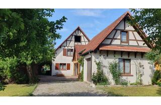 Haus mieten in 76473 Iffezheim, Haus in Roeschwoog im Elsass 180m2 mit Weide direkt am Haus. Ideal für Pferdebesitzer