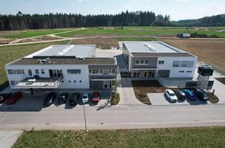 Gewerbeimmobilie kaufen in Hardstraße 14, 78194 Immendingen, Verwaltungsgebäude mit Werkstätten in Holzbauweise +++Vermietet+++