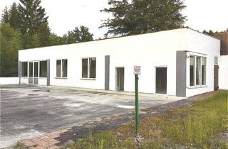 Gewerbeimmobilie kaufen in 91154 Roth, Lagerhalle mit genehmigtem Umbau zu 2 Doppelhaushälften in ruhiger Lage – 91154 Roth-Bernlohe