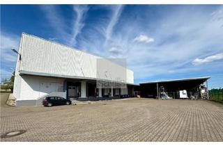 Büro zu mieten in 50354 Hürth, *SAVILLS* | Rampenhalle in Hürth mit optimaler Verkehrsanbindung | Regalsystem vorhanden!