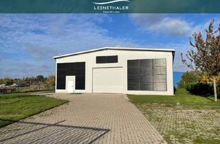 Gewerbeimmobilie kaufen in 31311 Uetze, Lagerhalle und Büro mit Effizienter PV-Anlage