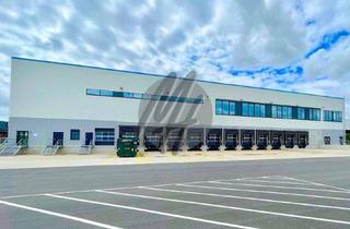 Büro zu mieten in 55234 Erbes-Büdesheim, KEINE PROVISION ✓ ERSTBEZUG ✓ WGK ✓ Lager-/Logistik (8.900 m²) & Büro (450 m²)