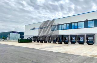 Büro zu mieten in 55286 Wörrstadt, KEINE PROVISION ✓ ERSTBEZUG ✓ WGK ✓ Lager-/Logistik (8.900 m²) & Büro (450 m²)