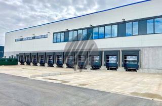 Büro zu mieten in 55232 Alzey, KEINE PROVISION ✓ ERSTBEZUG ✓ WGK ✓ Lager-/Logistik (8.900 m²) & Büro (450 m²)