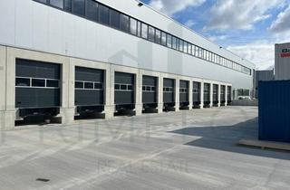 Büro zu mieten in 63791 Karlstein, EXKLUSIV IM ALLEINAUFTRAG | ca. 7.300 m² Lager-/ Logistikfläche + Büro | Q4 2026 |