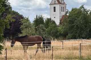 Grundstück zu kaufen in 04862 Mockrehna, Baugrundstück im schönsten Dorf Sachsens
