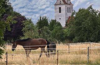 Grundstück zu kaufen in 04862 Mockrehna, Baugrundstück im schönsten Dorf Sachsens