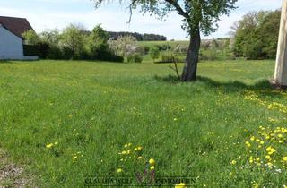 Grundstück zu kaufen in 91555 Feuchtwangen, *** LANDLEBEN - Schönes Baugrundstück am Ortsrand von Feuchtwangen-Steinbach ***