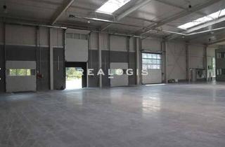 Gewerbeimmobilie mieten in 93083 Obertraubling, Obertraubling, ca. 3.100 m² Lagerfläche zu vermieten