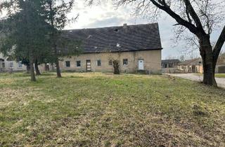 Mehrfamilienhaus kaufen in 17291 Prenzlau, Prenzlau - Mehrfamilienhaus in 17291 UckermarkSchenkenberg AbrissSanierung