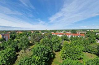 Wohnung mieten in Thierbacher Straße 13, 03048 Sachsendorf, **KLEIN ABER FEIN **schicke Singlewohnung mit Balkon // Fußbodenheizung // Fahrstuhl // ab sofort