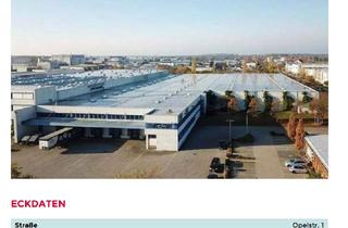 Gewerbeimmobilie mieten in Opelstr., 68789 St. Leon-Rot, Mietobjekt-Ca. 5.000 qm Lager- / Logistik- / Produktionshalle zu vermieten!