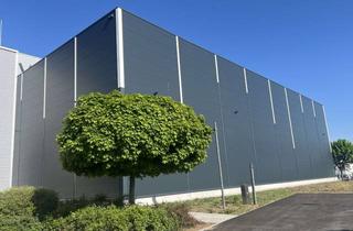 Gewerbeimmobilie mieten in 87787 Wolfertschwenden, EXKLUSIV | Moderne Neubau Halle mit Top-Lage direkt an der A7 / A96