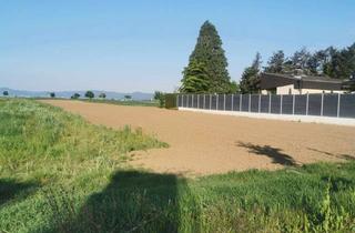 Grundstück zu kaufen in 67125 Dannstadt-Schauernheim, Tolles Baugrundstück in Feldrandlage