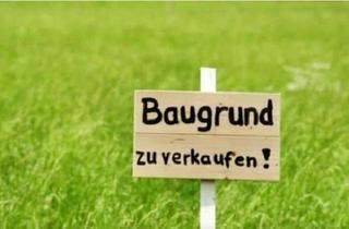 Grundstück zu kaufen in 63755 Alzenau, Abriss & Neubau in Top-Lage: Grundstück 1660m² in Alzenau-Hörstein mit hohem Entwicklungspotenzial
