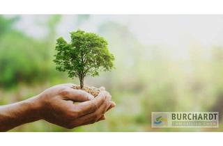 Gewerbeimmobilie kaufen in 95367 Trebgast, Waldgrundstück in Trebgast – Natur und Rückzugsort zwischen Bayreuth und Kulmbach