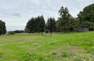 Grundstück zu kaufen in 04668 Grimma, Grimma - EIN PARADIES FÜR FAMILIEN