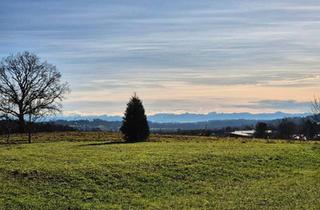 Doppelhaushälfte kaufen in 88271 Wilhelmsdorf, Wilhelmsdorf - Traumhafte Doppelhaushälfte in Wilhelmsdorf -Neubau mit Bergblick