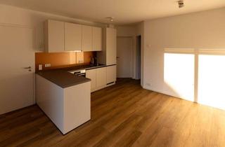 Wohnung mieten in Waldklausenweg 14a, 81377 Hadern, Zweitbezug: sonnendurchflutete 2-Zimmer-Wohnung mit EBK und Terrasse in Großhadern, München