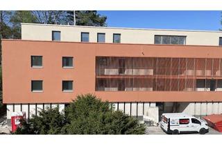 Penthouse mieten in Am Ziegeltörle, 87700 Memmingen, 3-Zimmer-Penthouse-Wohnung in Memmingen, zentrale gelegen, mit Terasse und Balkon auf 3 Seiten