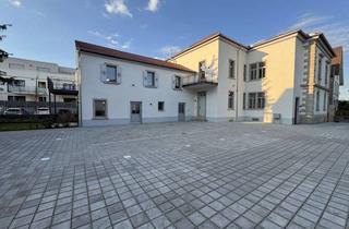 Wohnung mieten in 67480 Edenkoben, ++ ERSTBEZUG NACH SANIERUNG ! - Helle 3ZKB in einem stilvollen Denkmalgeschützten Altbau ! ++