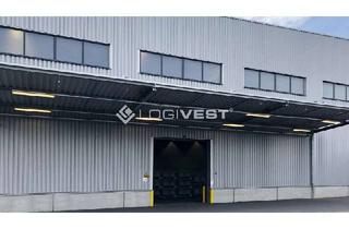 Gewerbeimmobilie mieten in 01809 Heidenau, Verkehrsgünstig gelegene Lager- und Produktionsfläche mit Kran und 24/7!