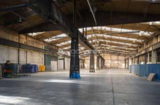 Gewerbeimmobilie mieten in 09496 Marienberg, Vielseitige Lagerhalle unweit der tschechischen Grenze