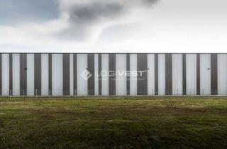 Gewerbeimmobilie mieten in 38889 Blankenburg, Projektierter Neubau einer Lager- und Logistikhalle