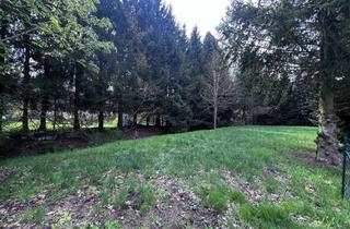 Grundstück zu kaufen in 06905 Bad Schmiedeberg, Idyllisches Bauland in Bad Schmiedeberg – Wohnen im Einklang mit der Natur (Flurstück 209)
